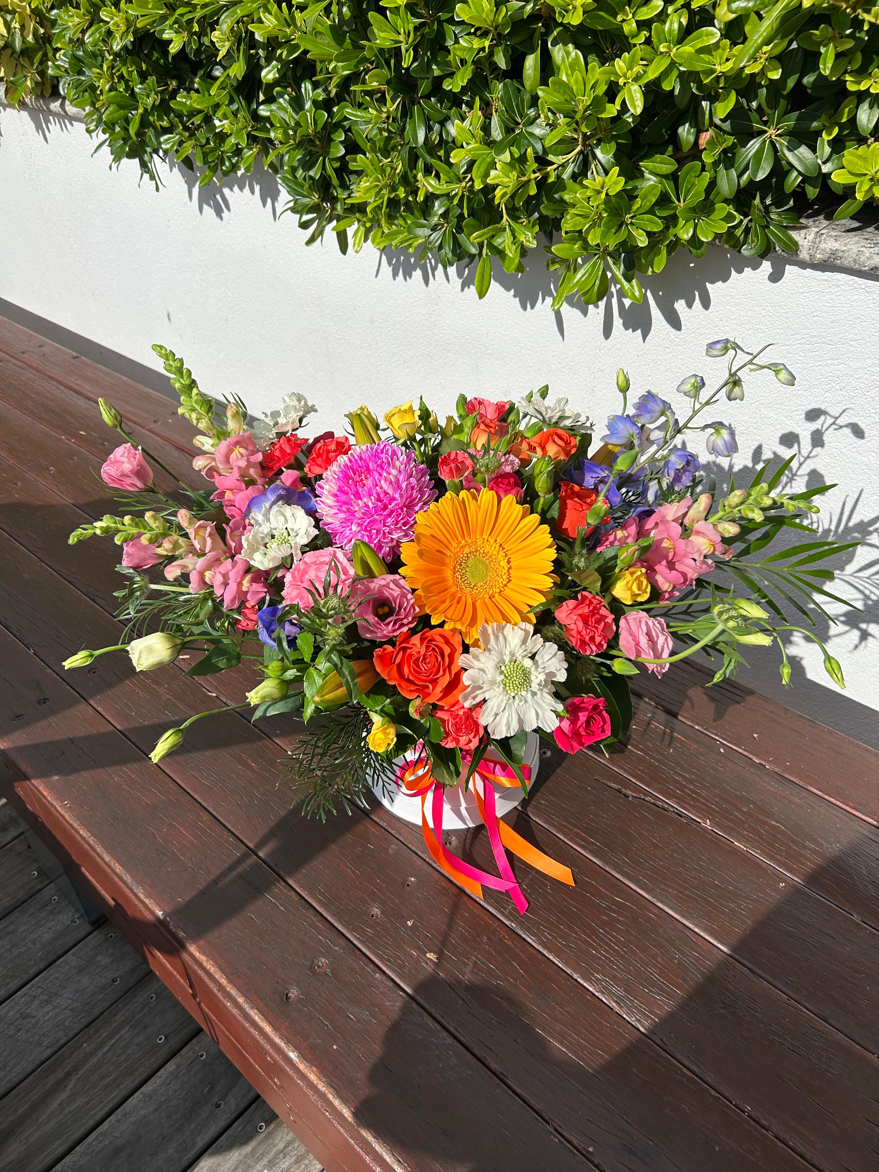 MUMMA MIA image 1
