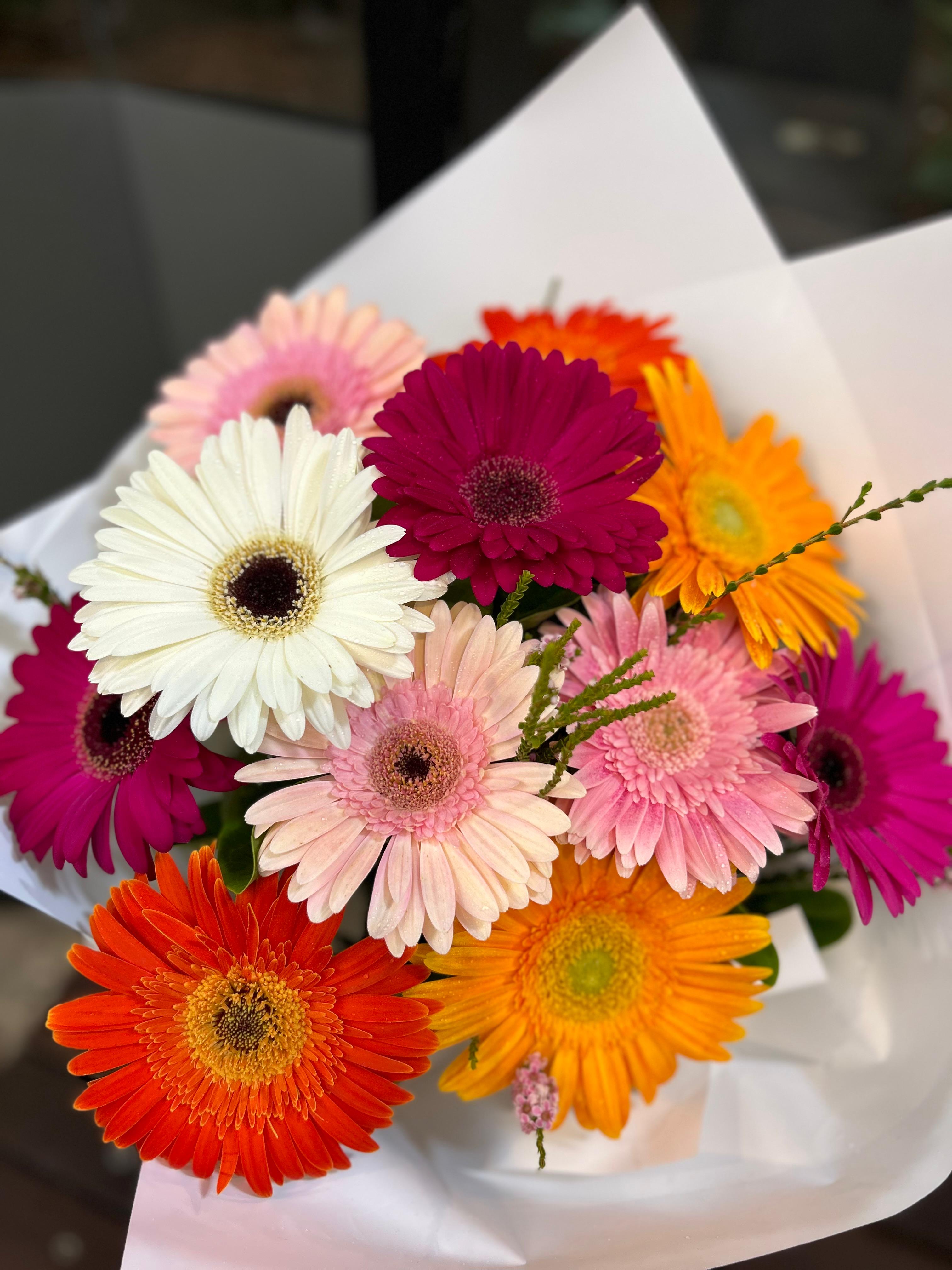Gerbera Vivid image 0