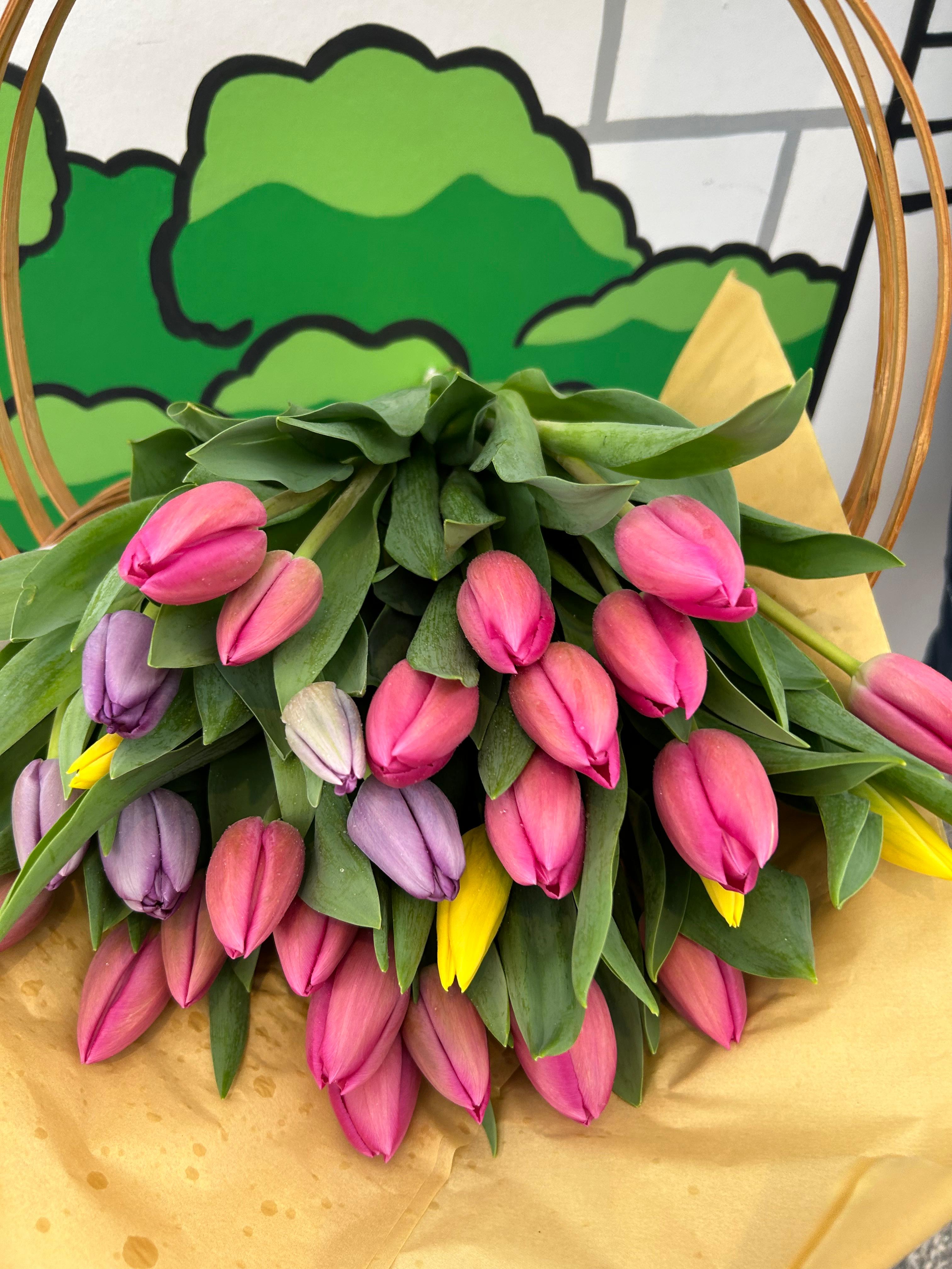 Tulips in Masses image 0